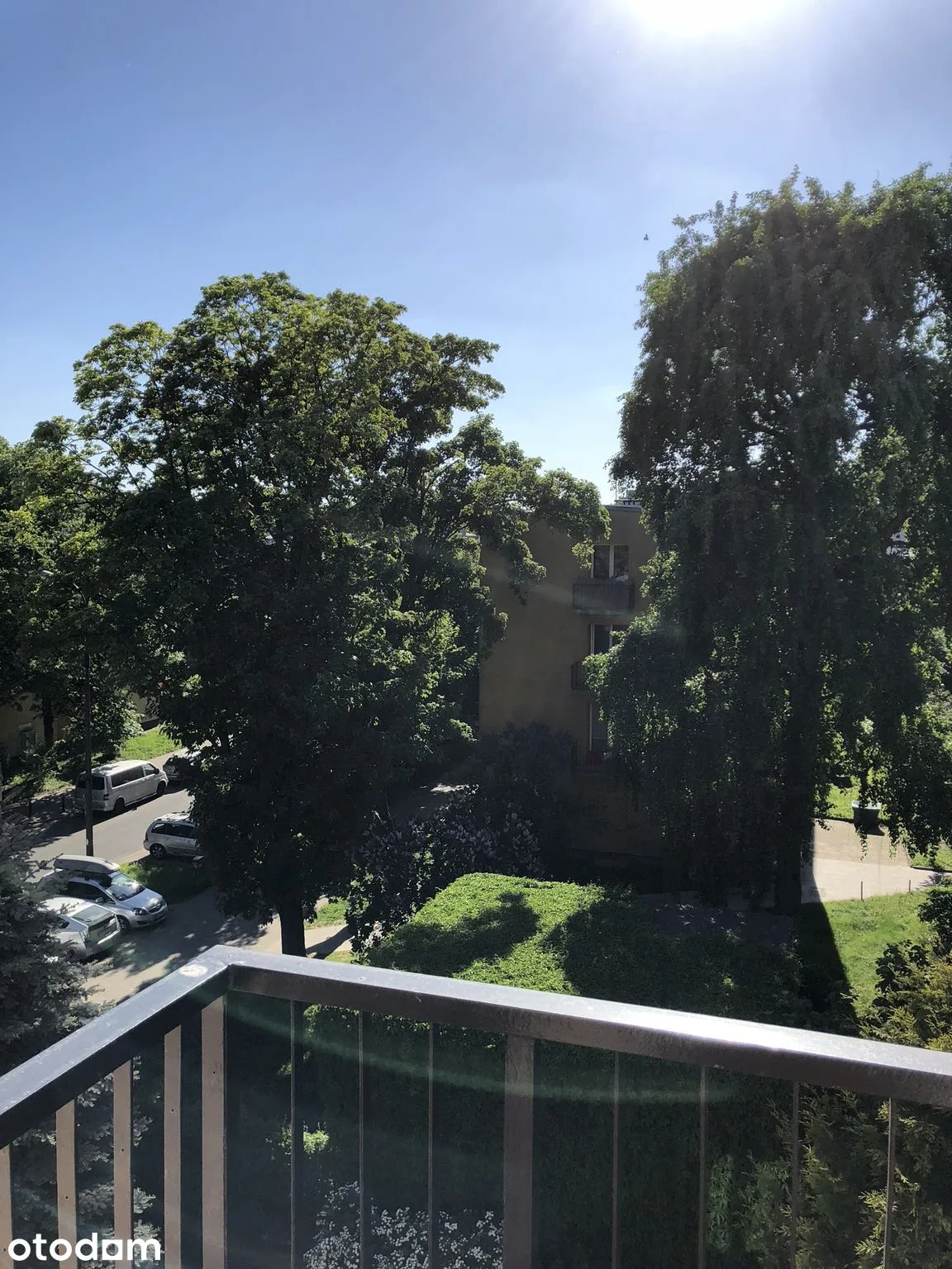 view