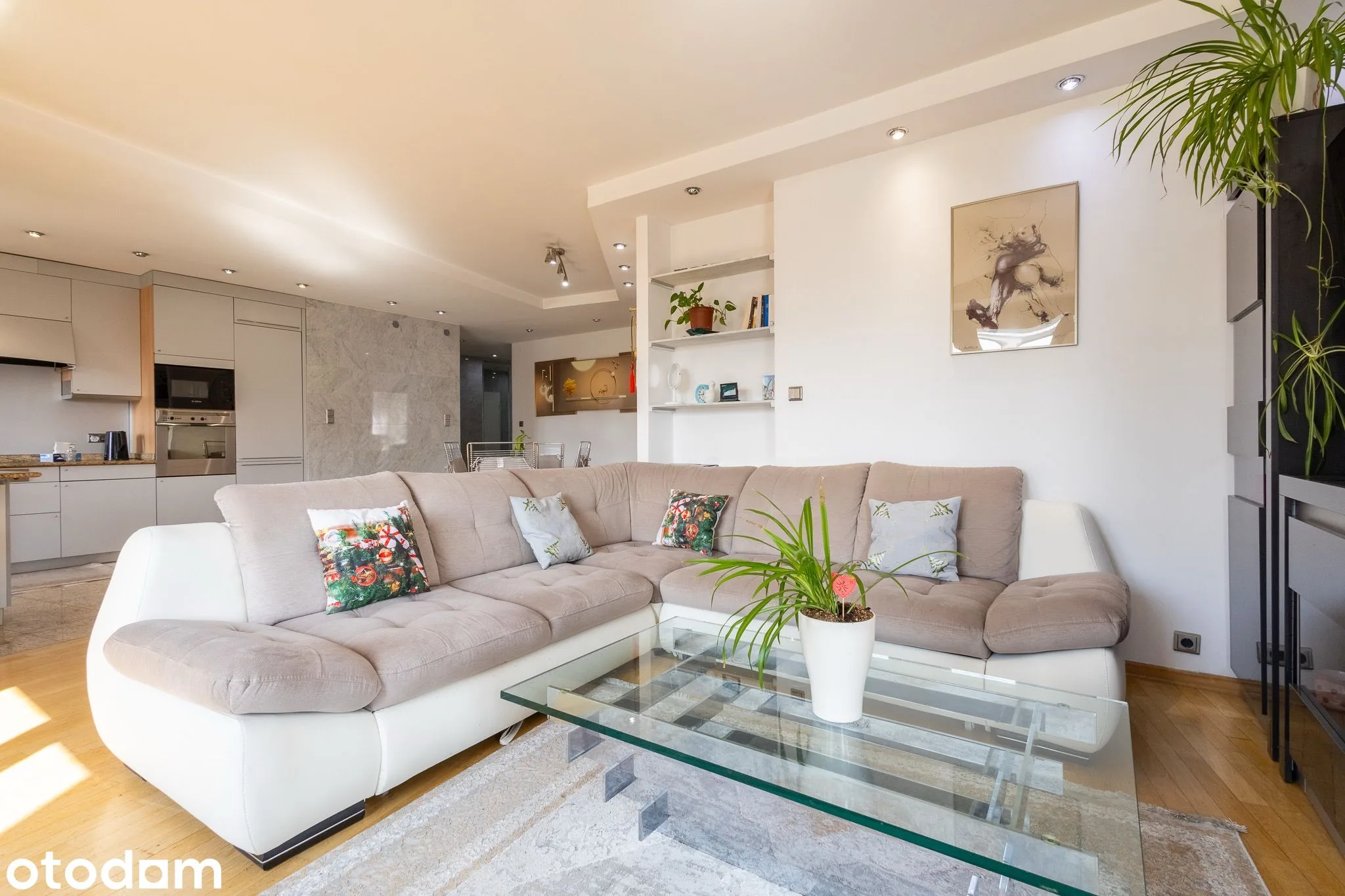 living_room