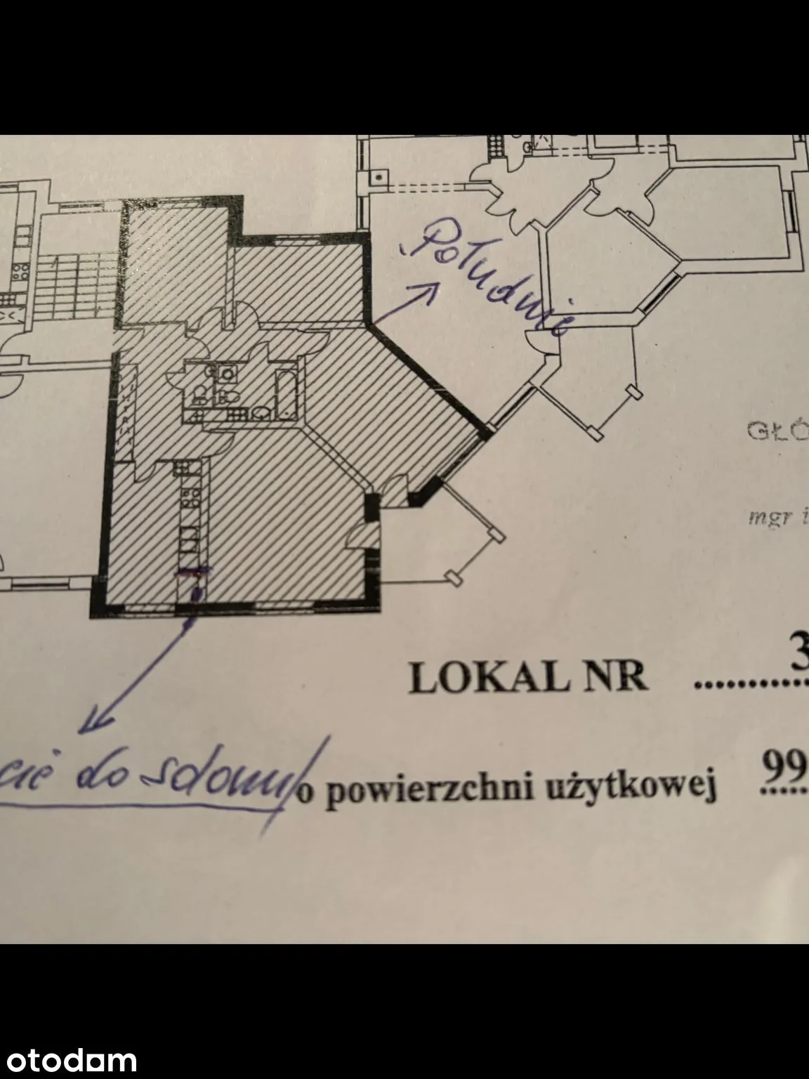 Rzut