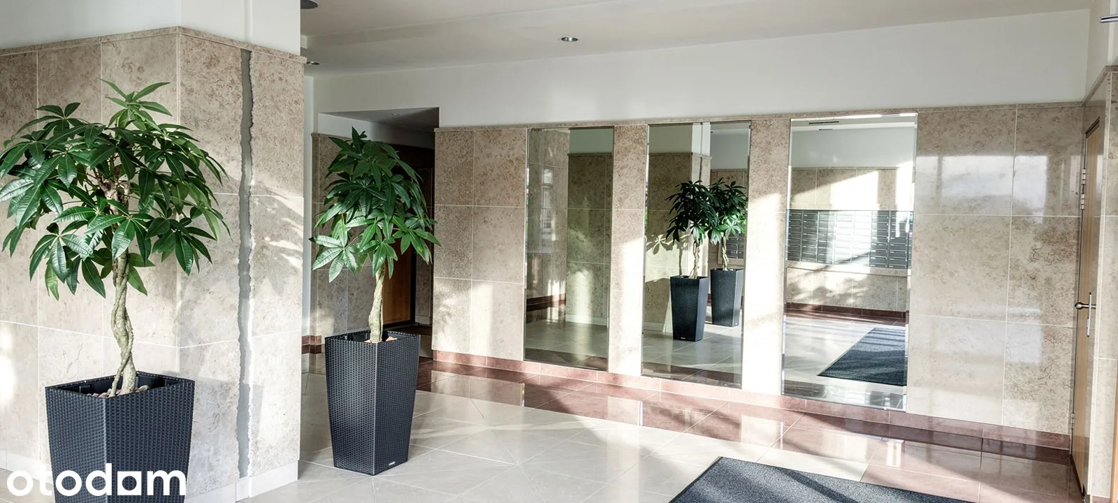 amenity