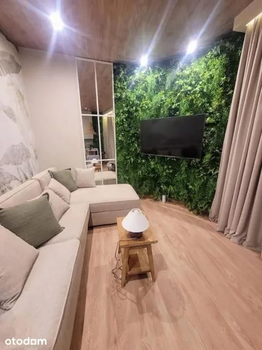 living_room
