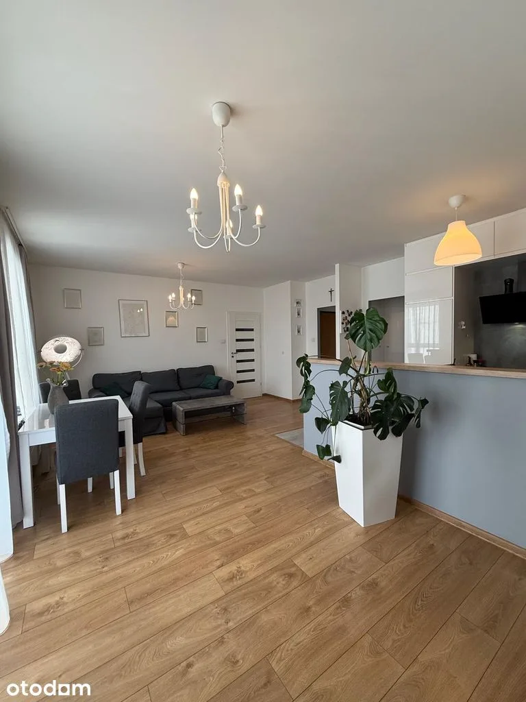 living_room