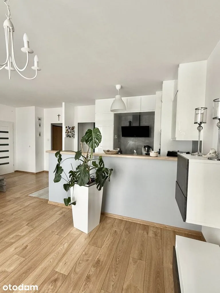 living_room