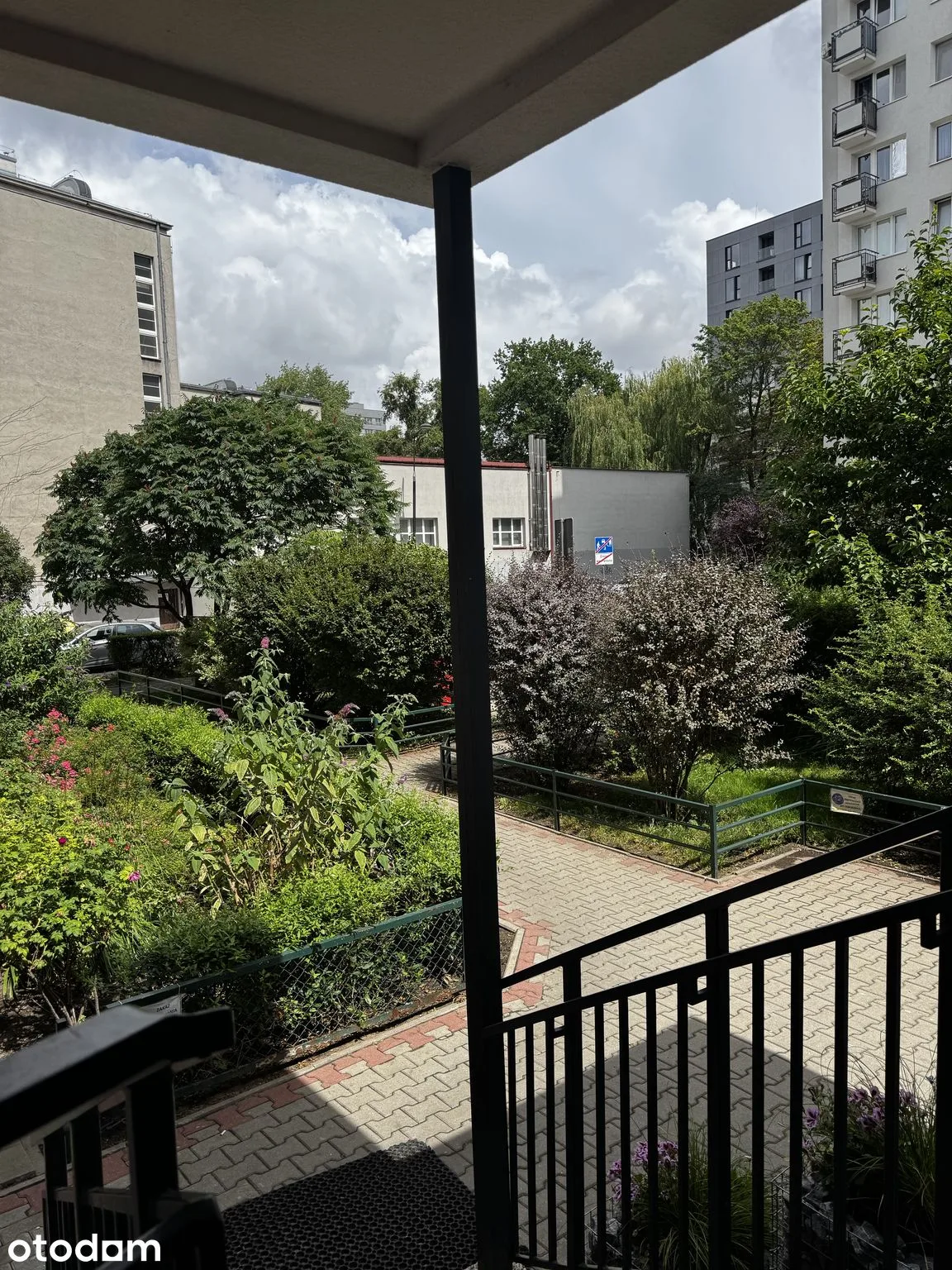 view