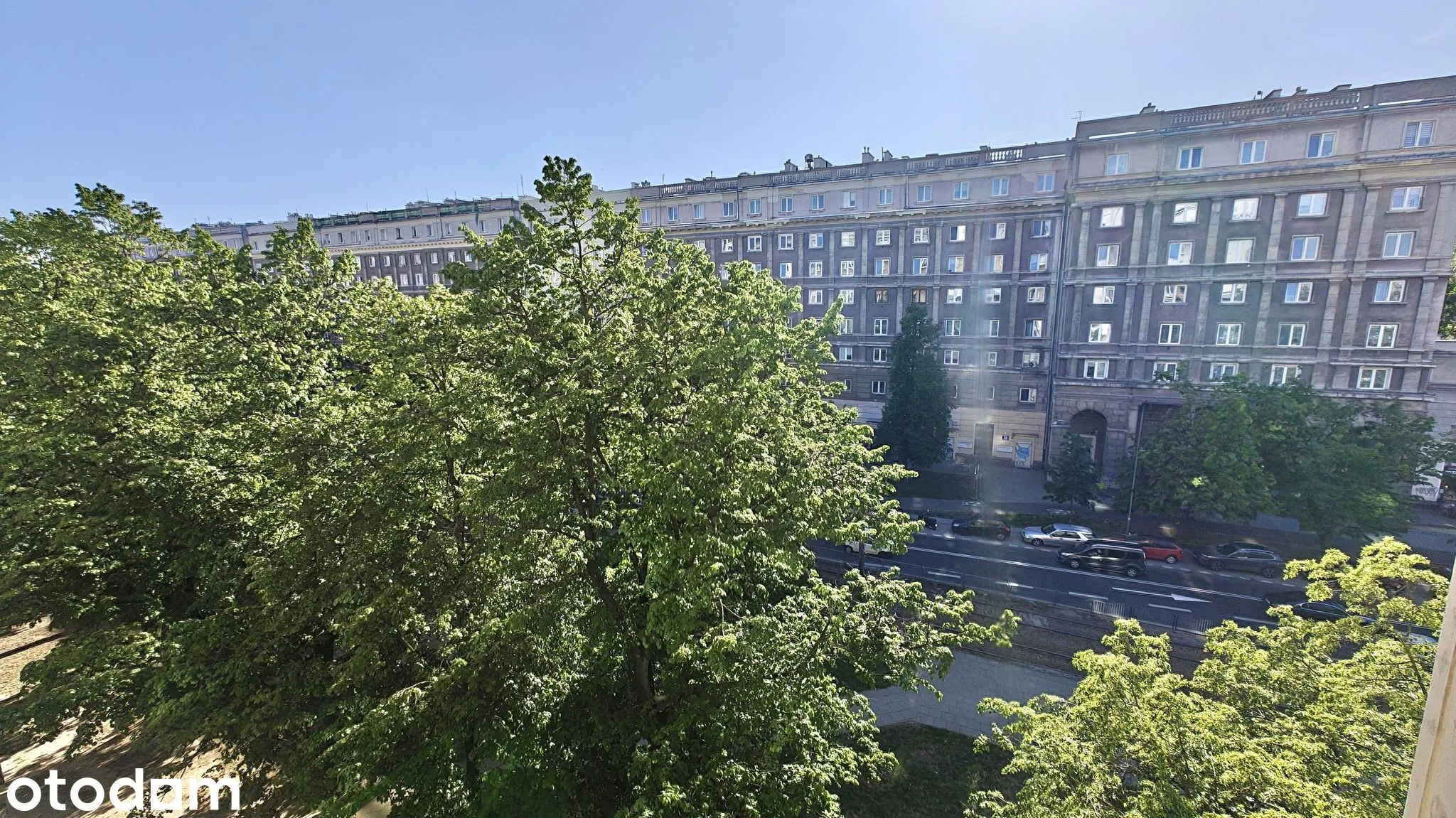view