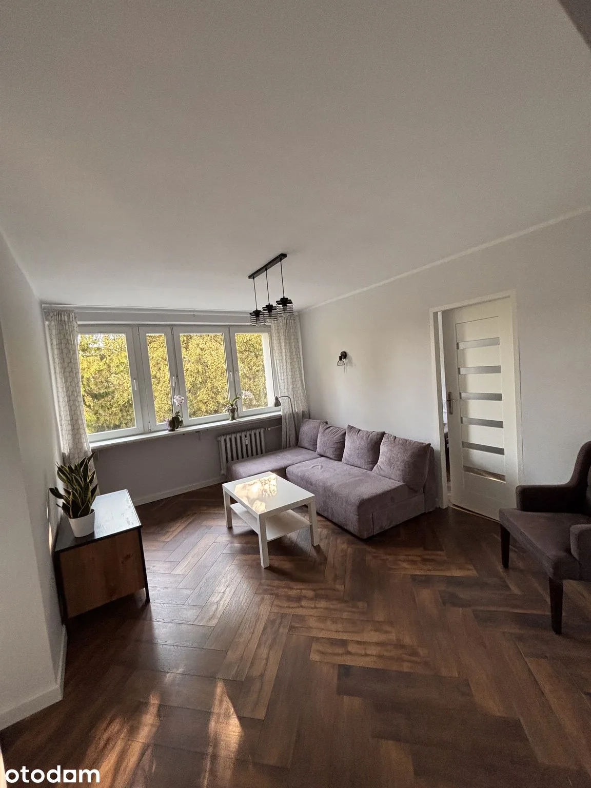 living_room