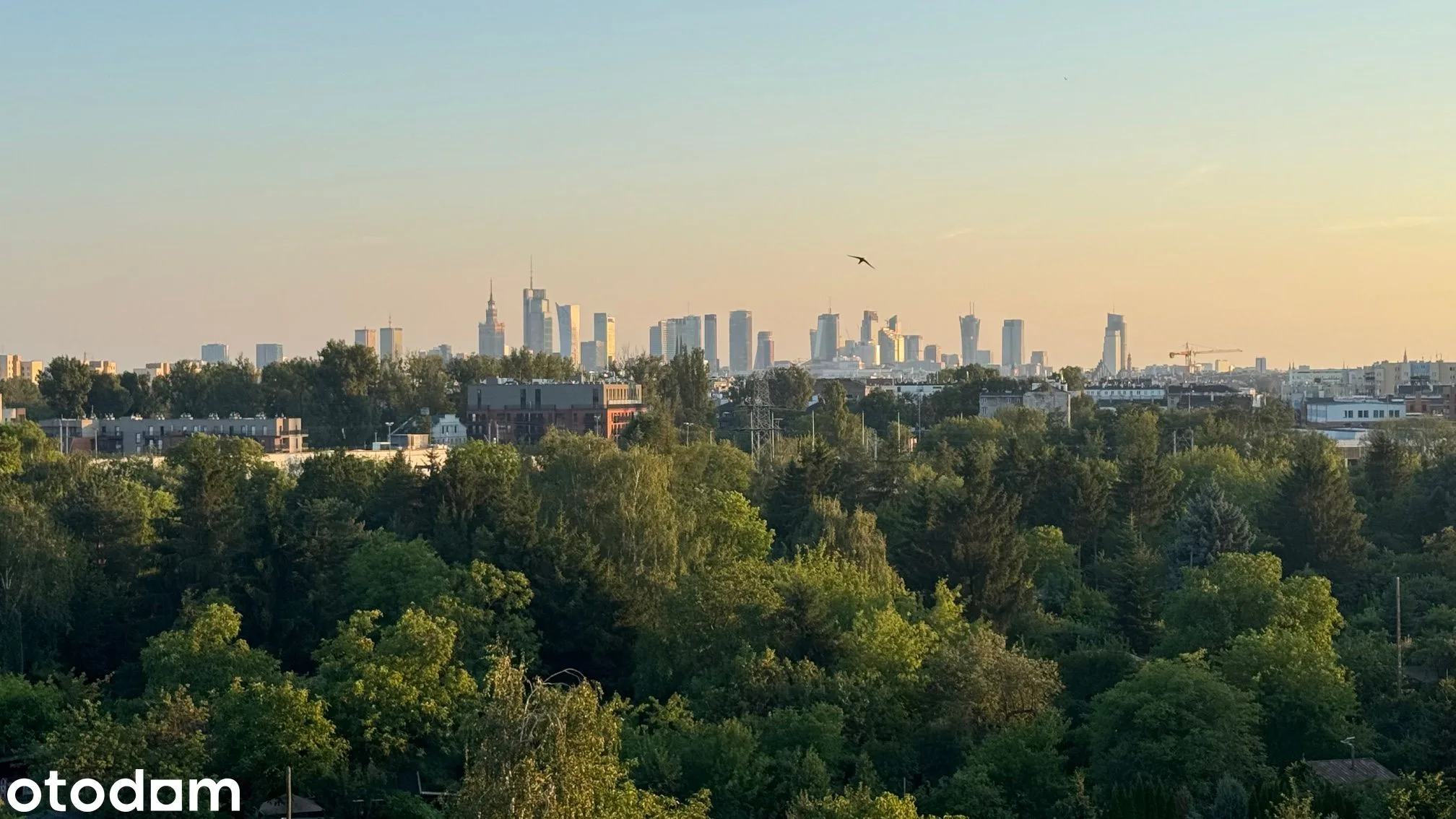 view