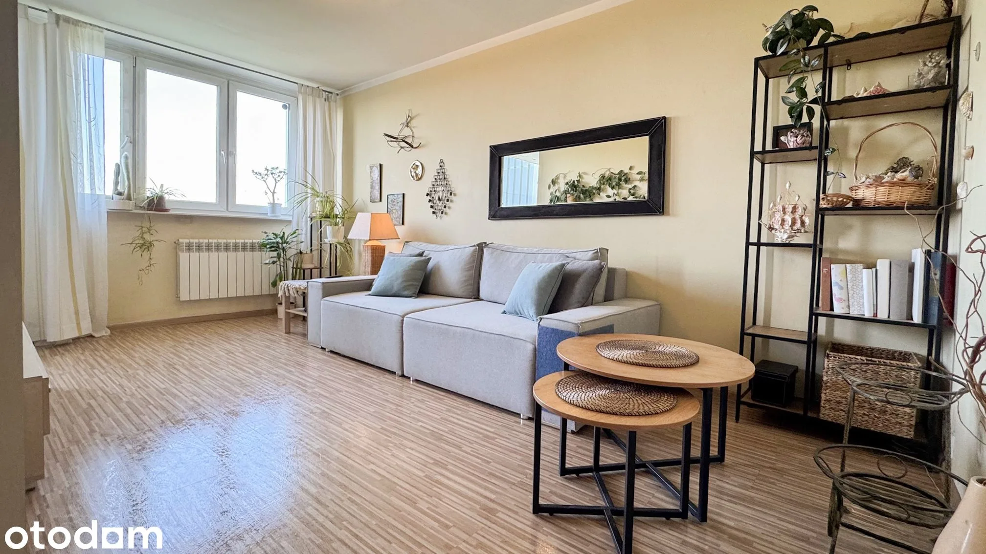 living_room
