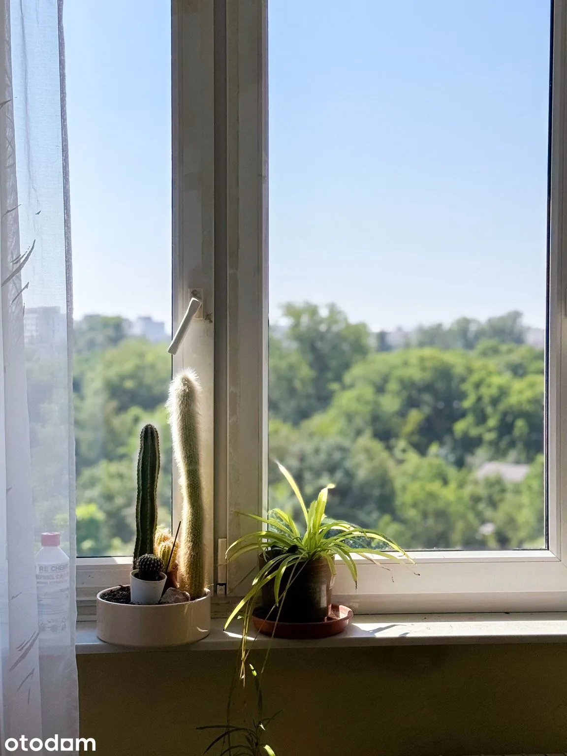view