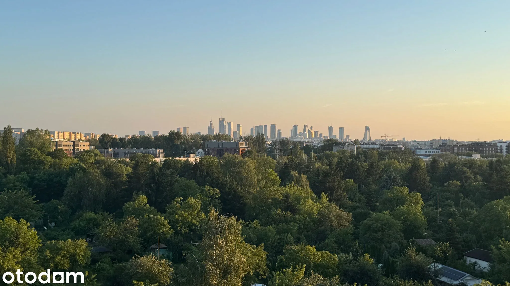 view