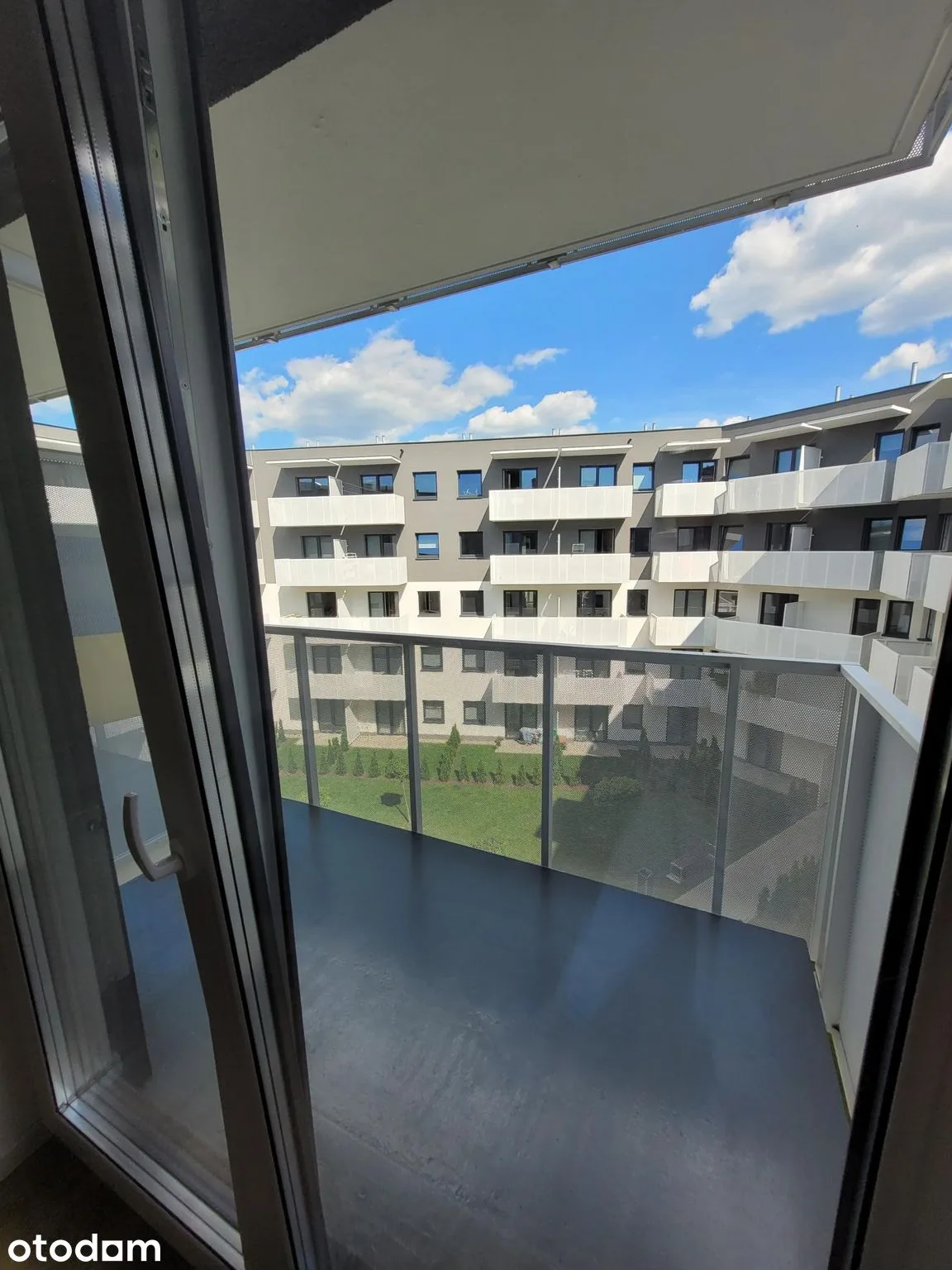 view