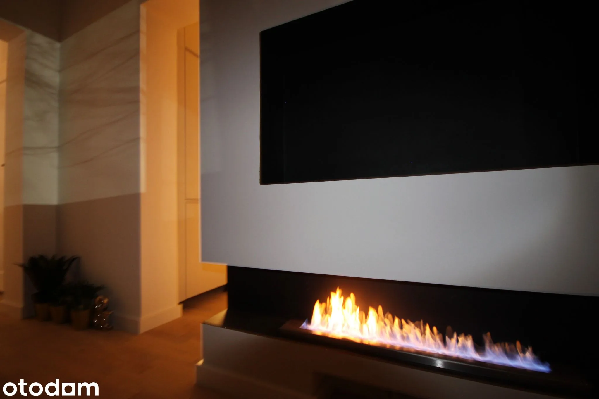 living_room