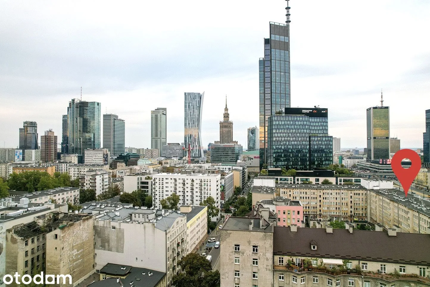 view