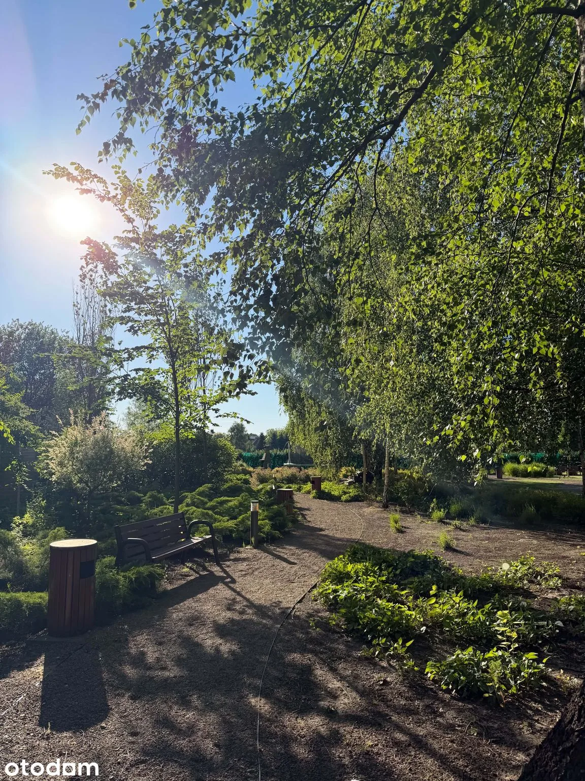 view