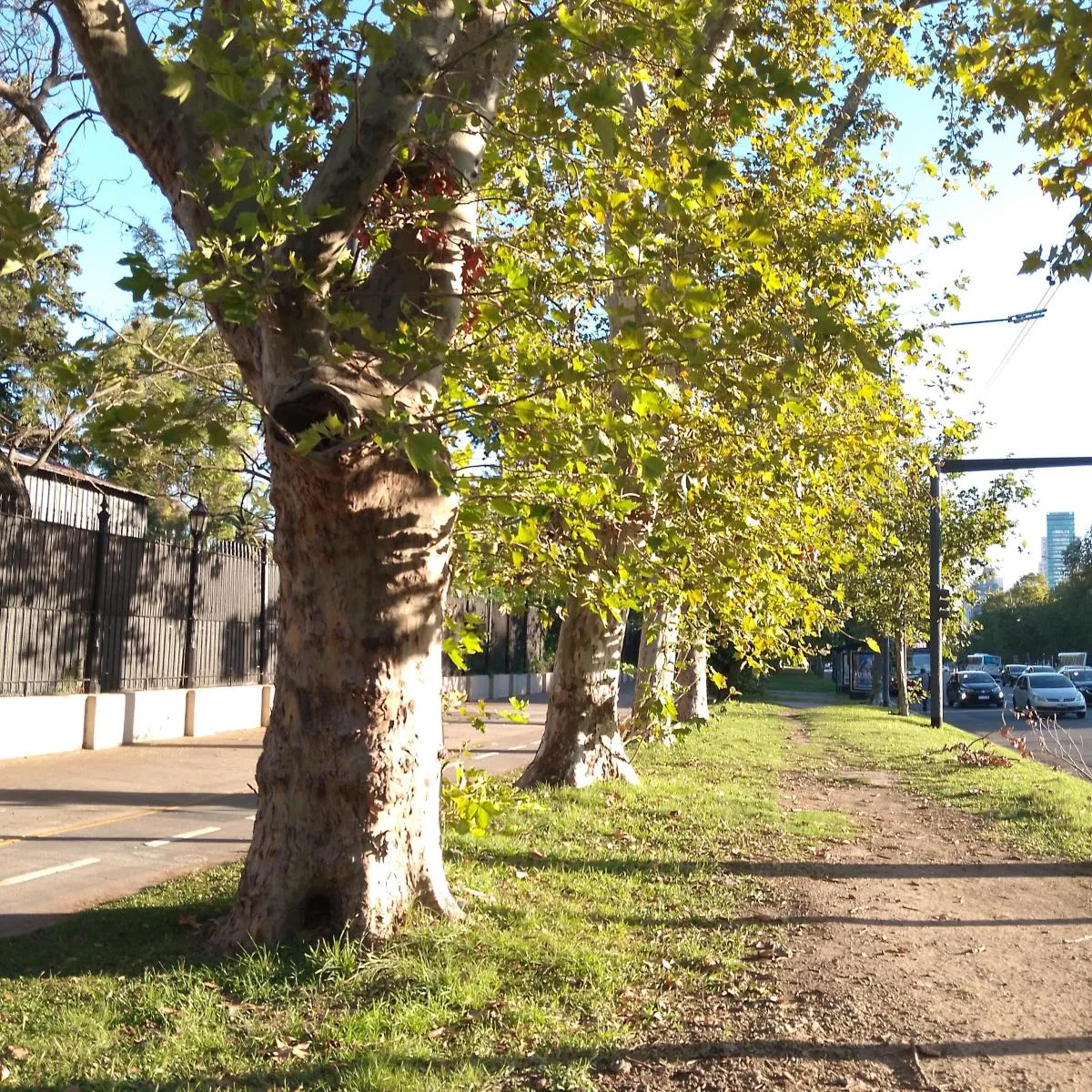 Palermo Botánico, 48 m²