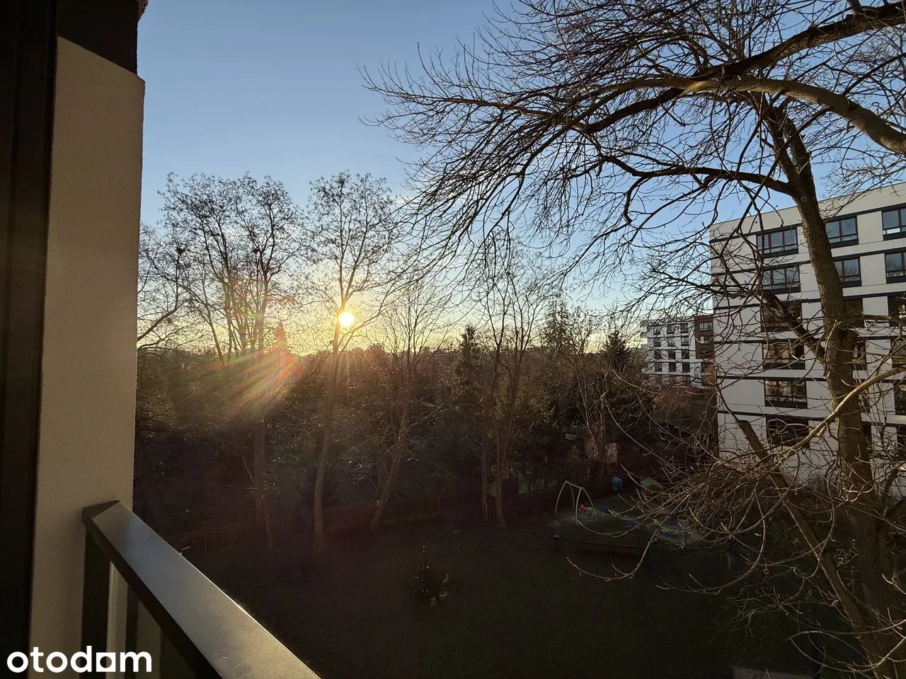 view