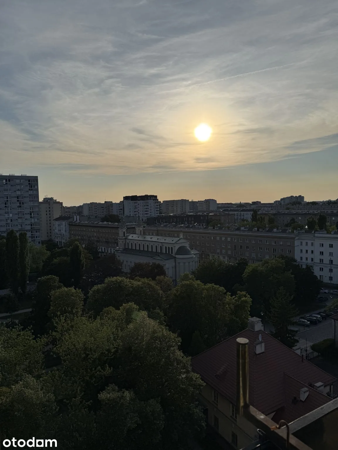 view