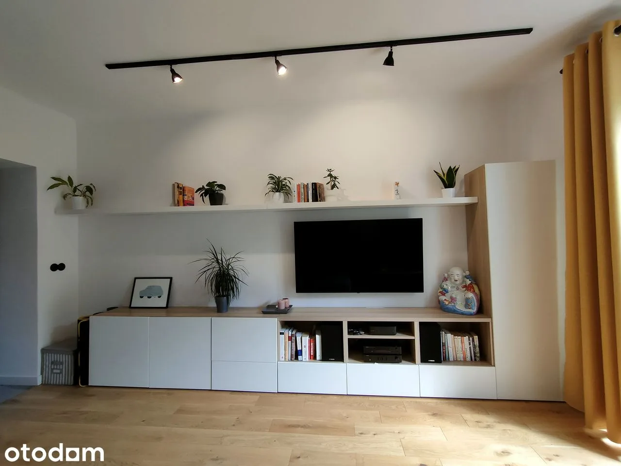 living_room