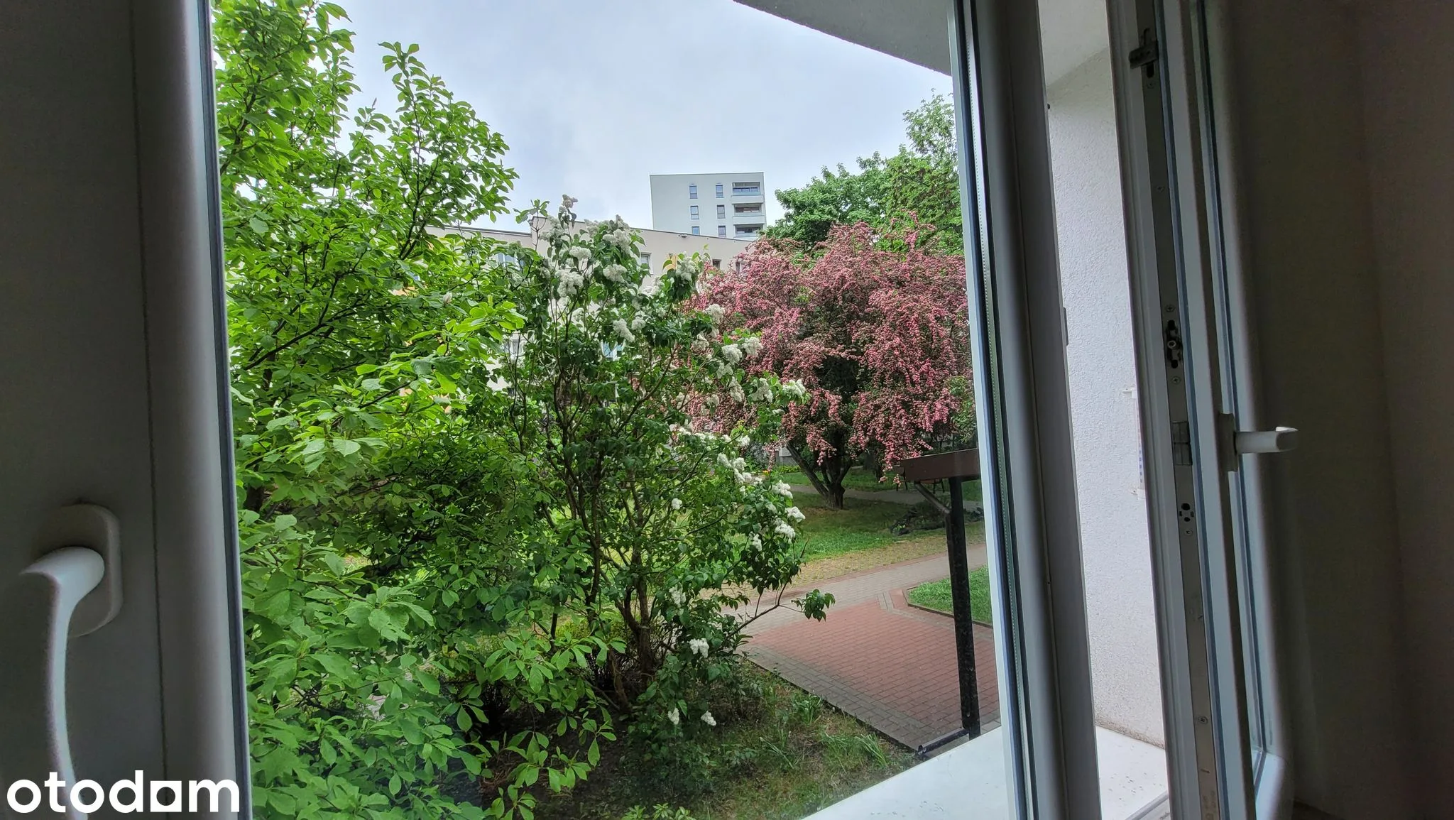 view