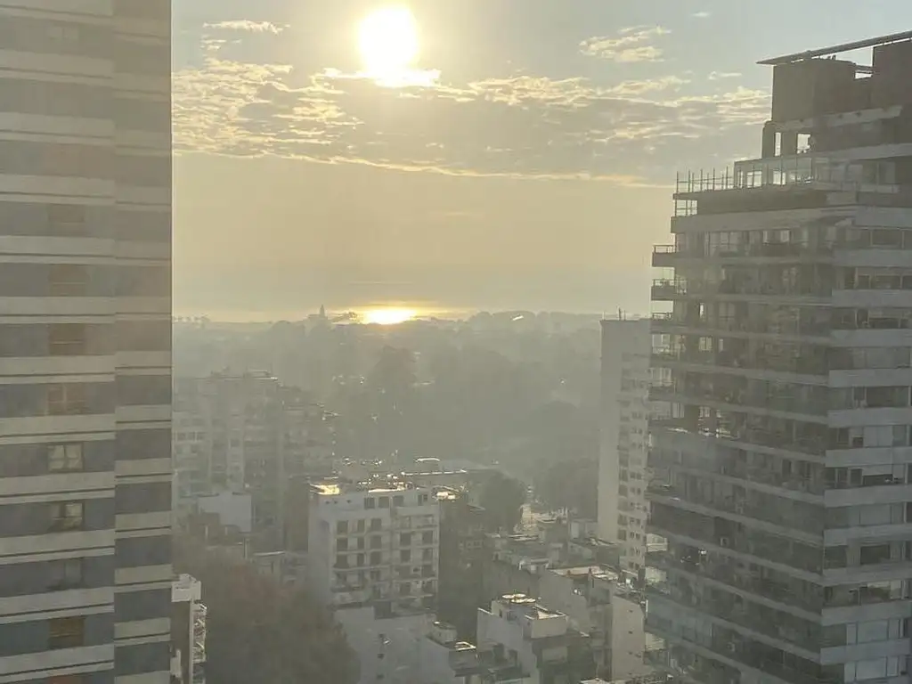view
