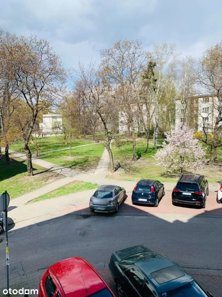 Widok
