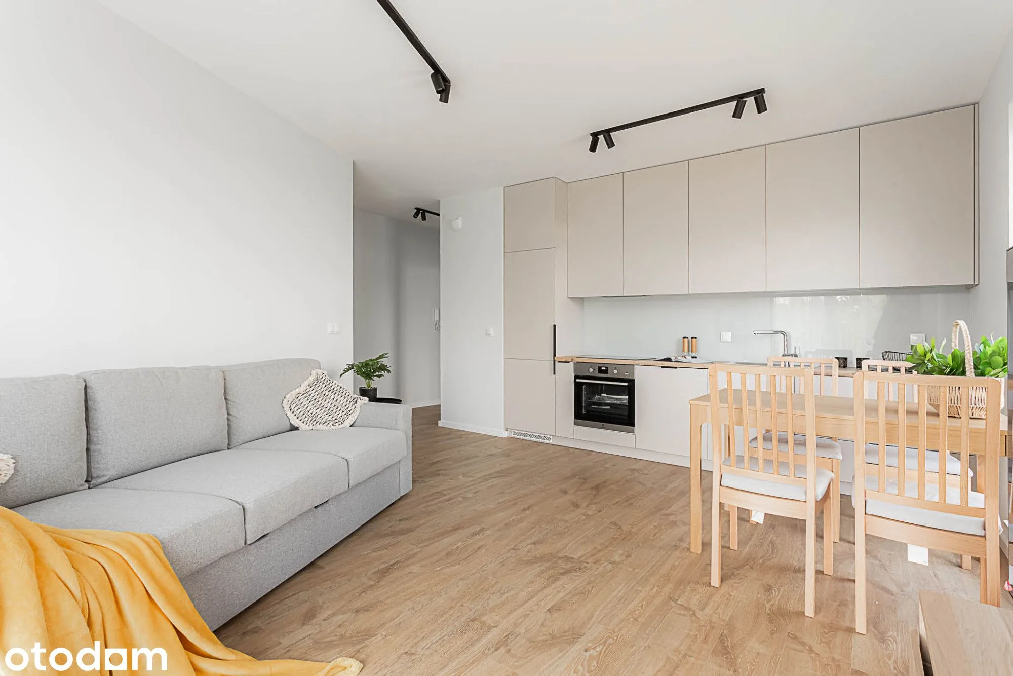 living_room