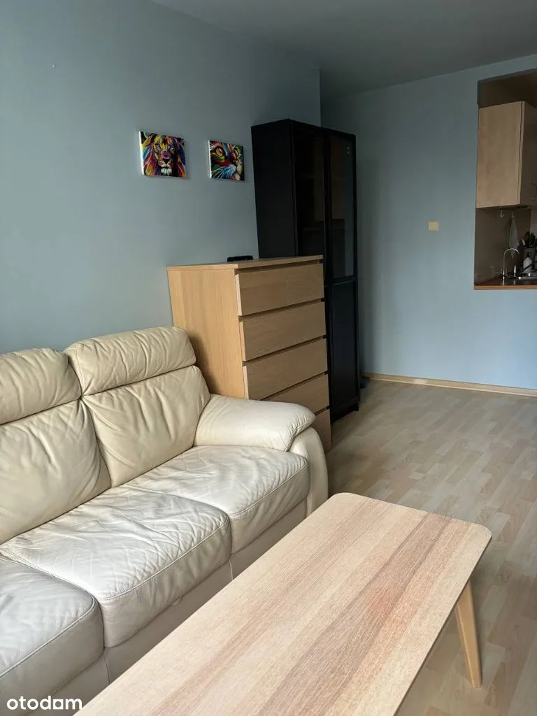 living_room