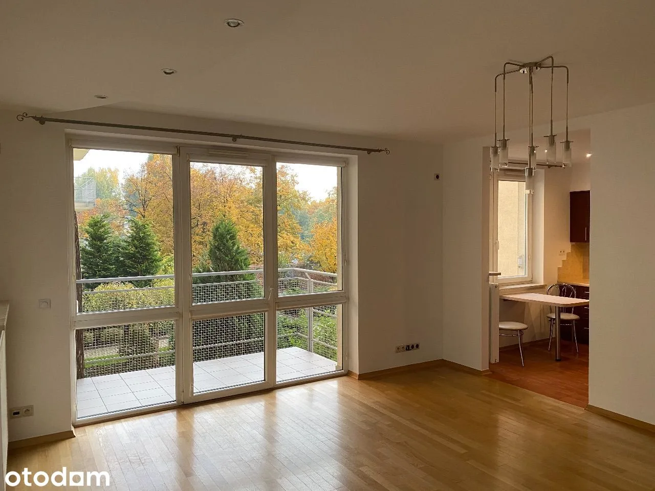 living_room