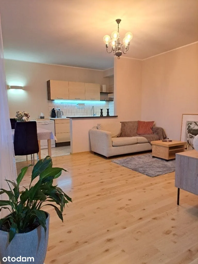 living_room