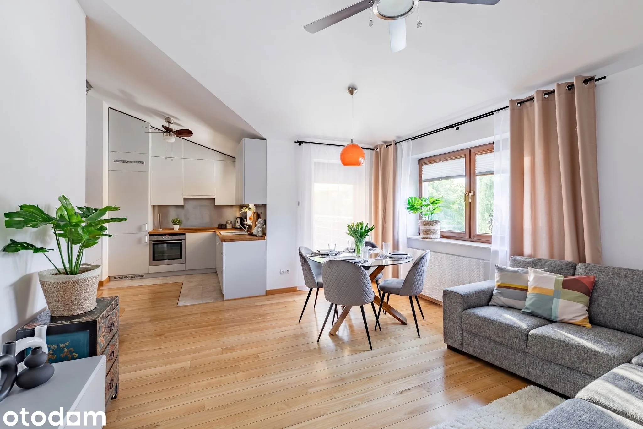 living_room