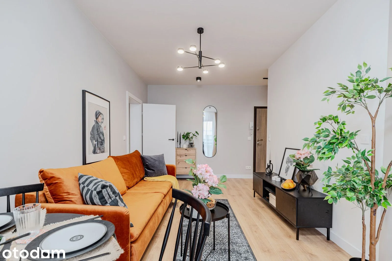 living_room