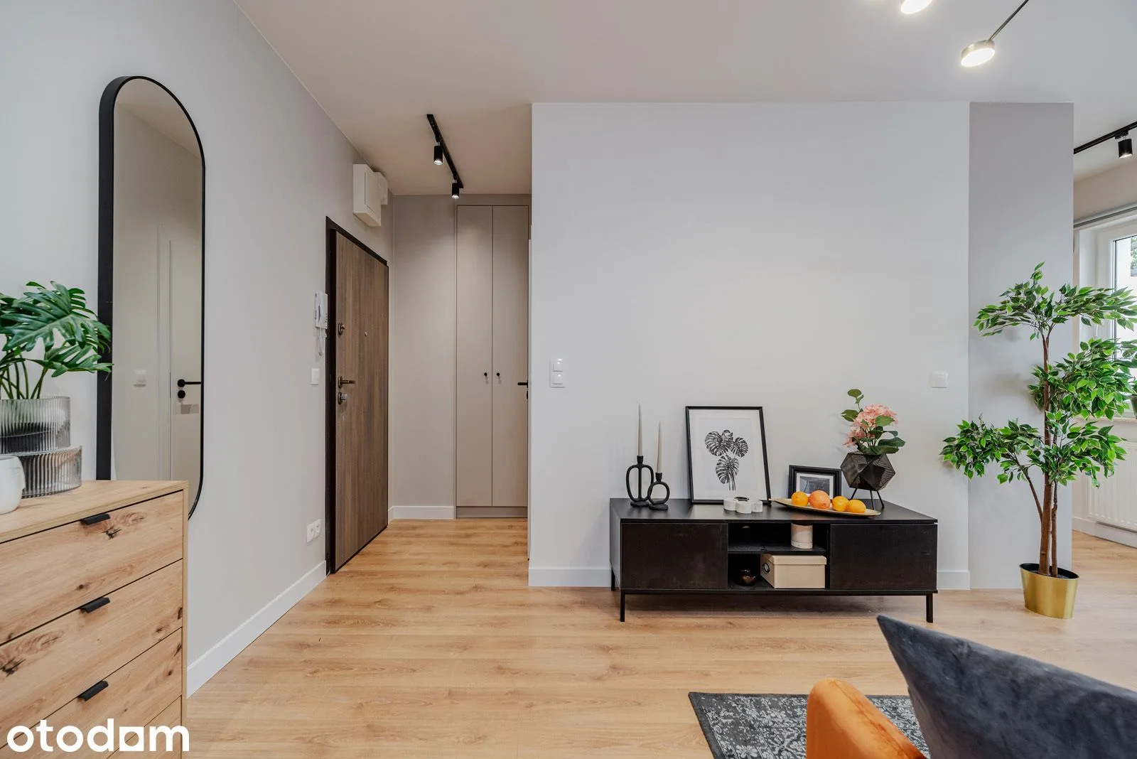 living_room