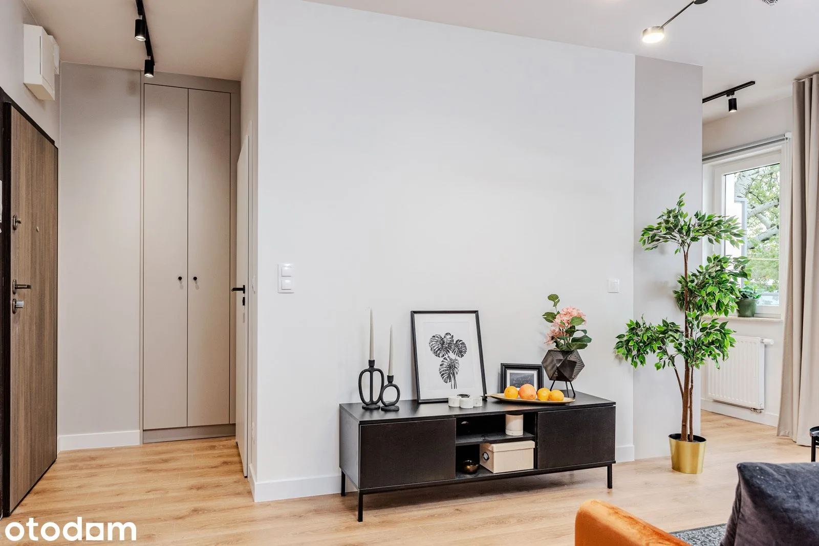 living_room