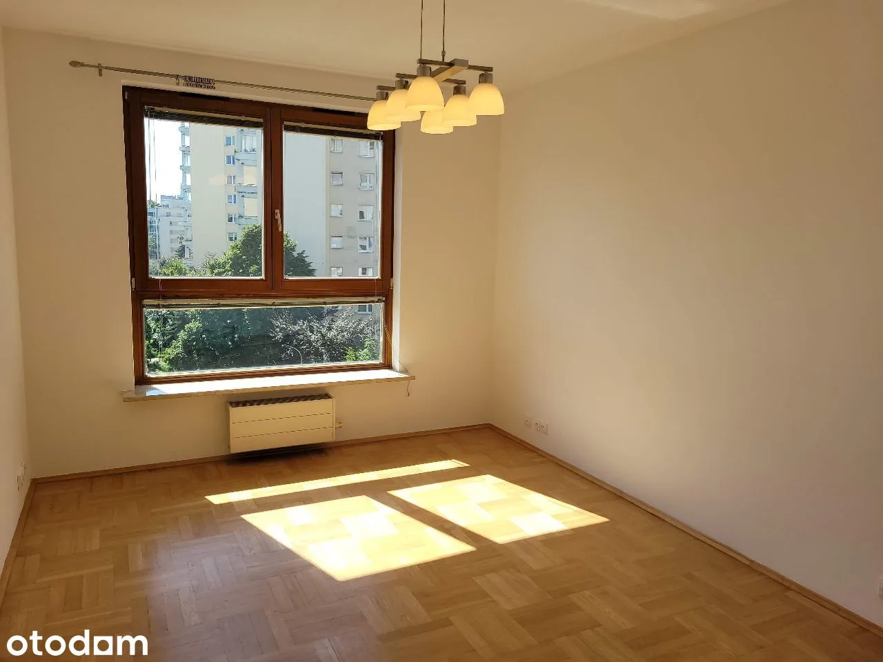 living_room