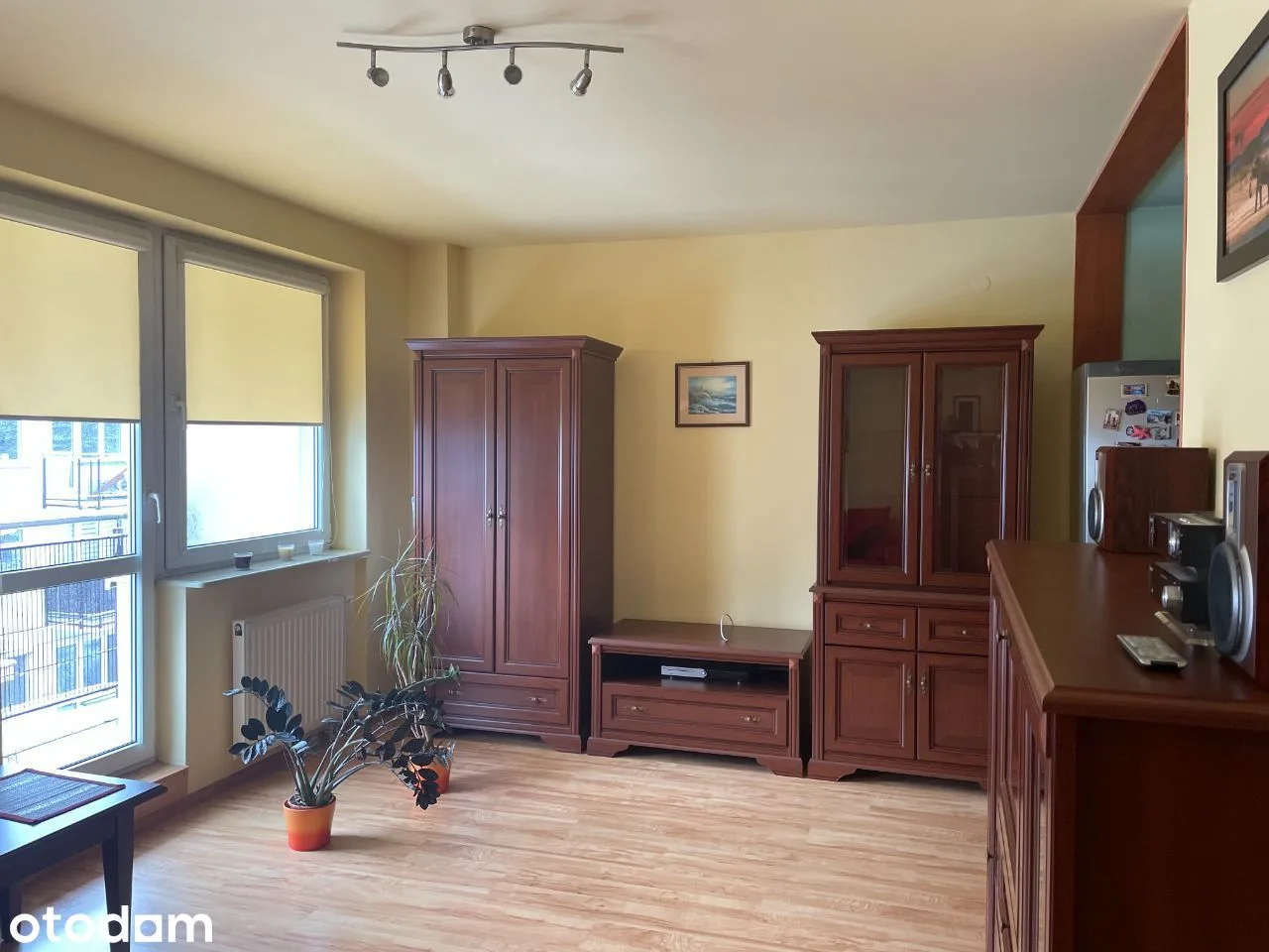 living_room