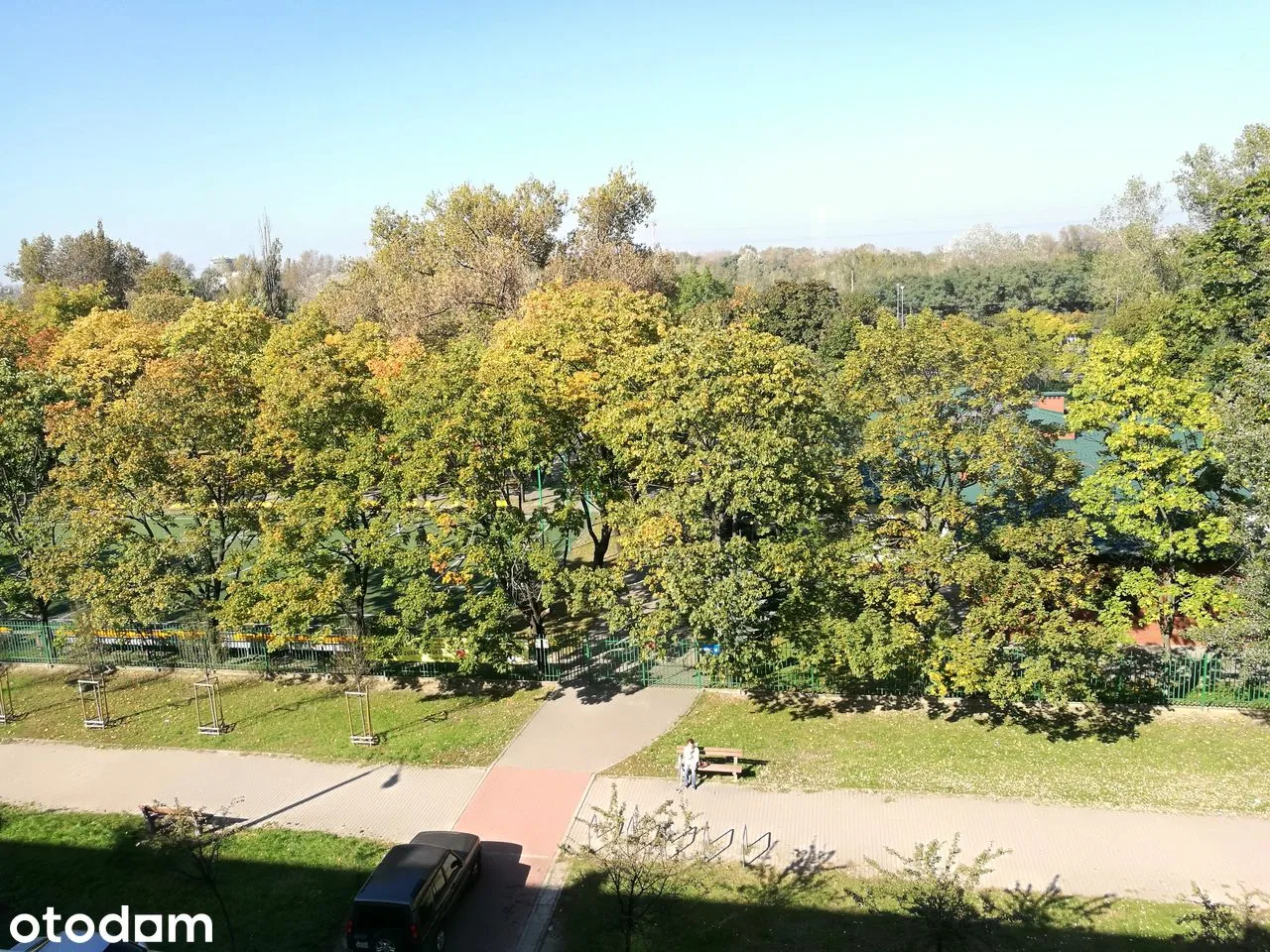 view