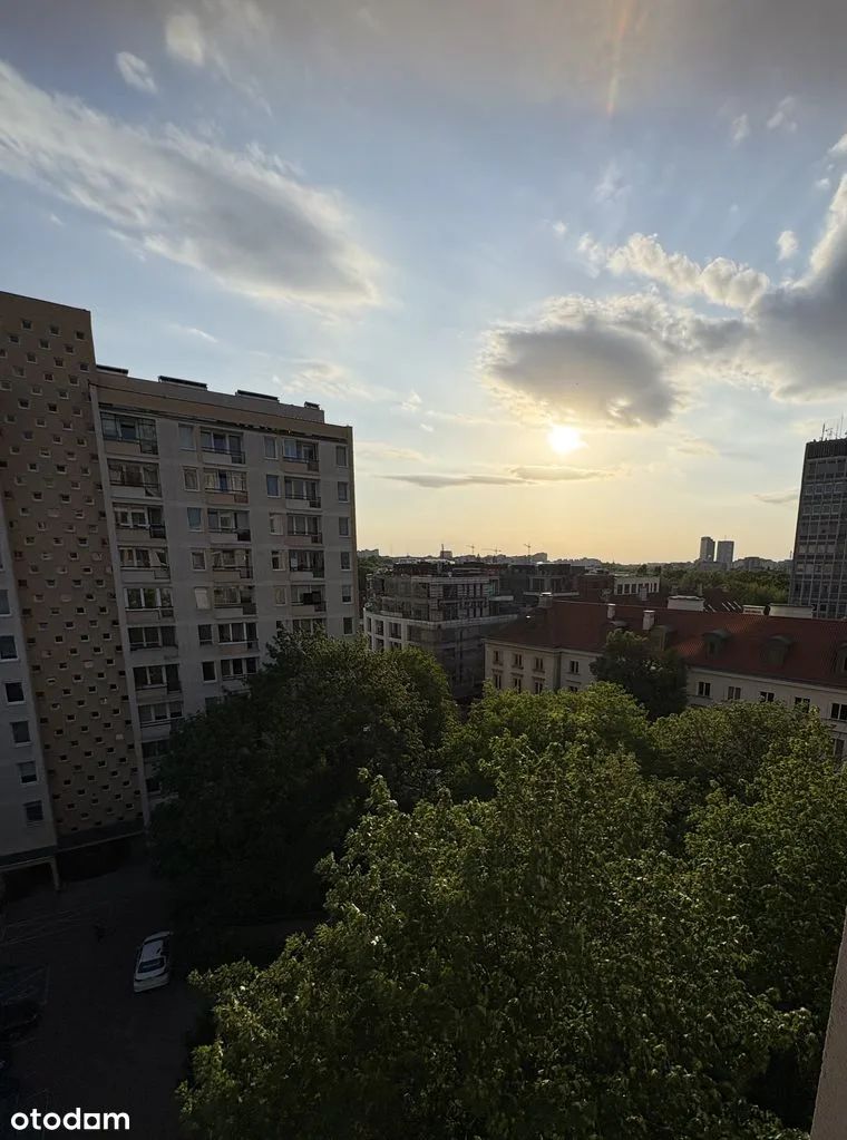view