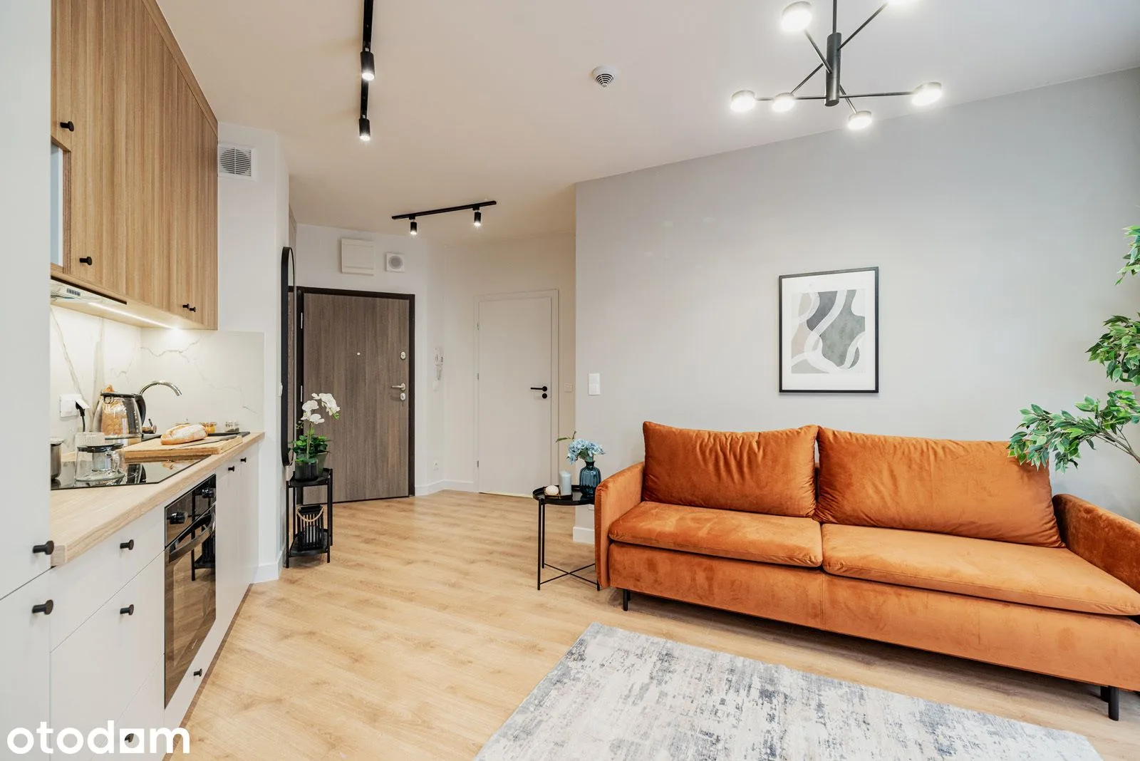 living_room