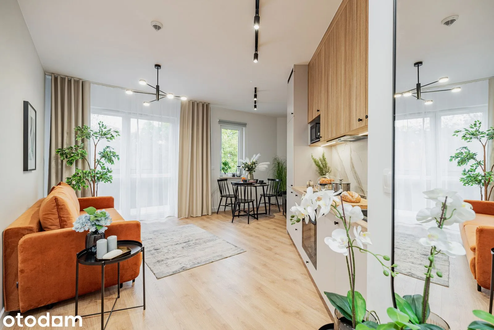 living_room