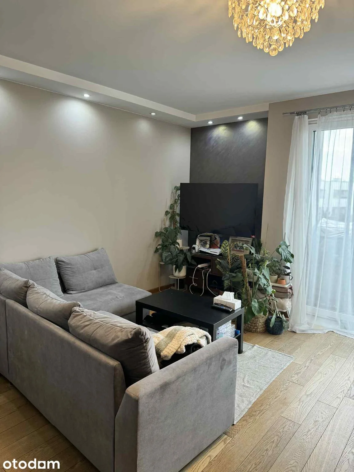 living_room