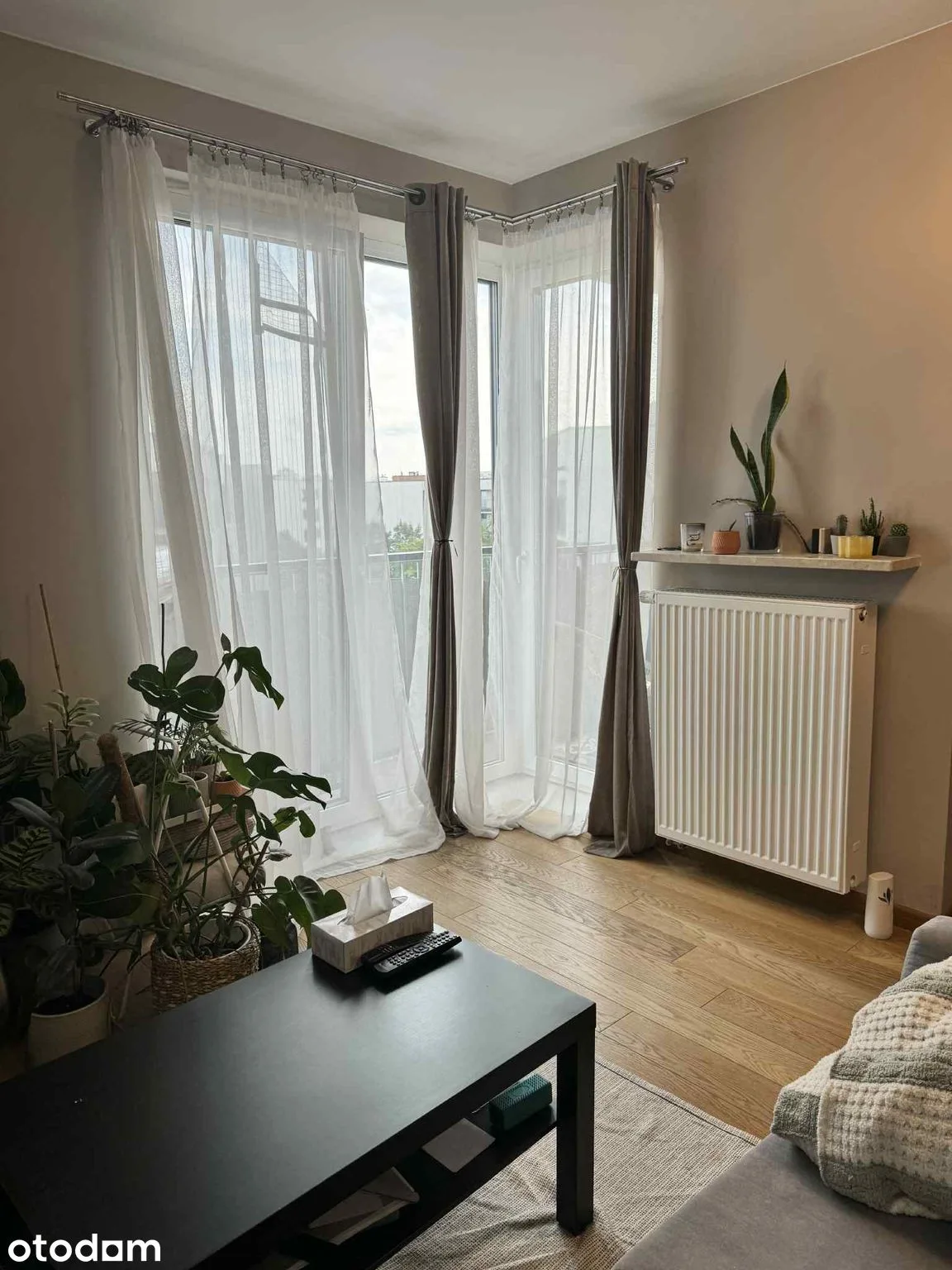 living_room