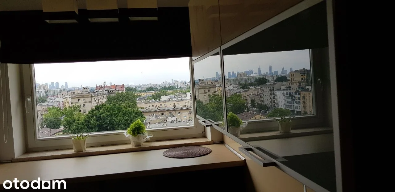 view