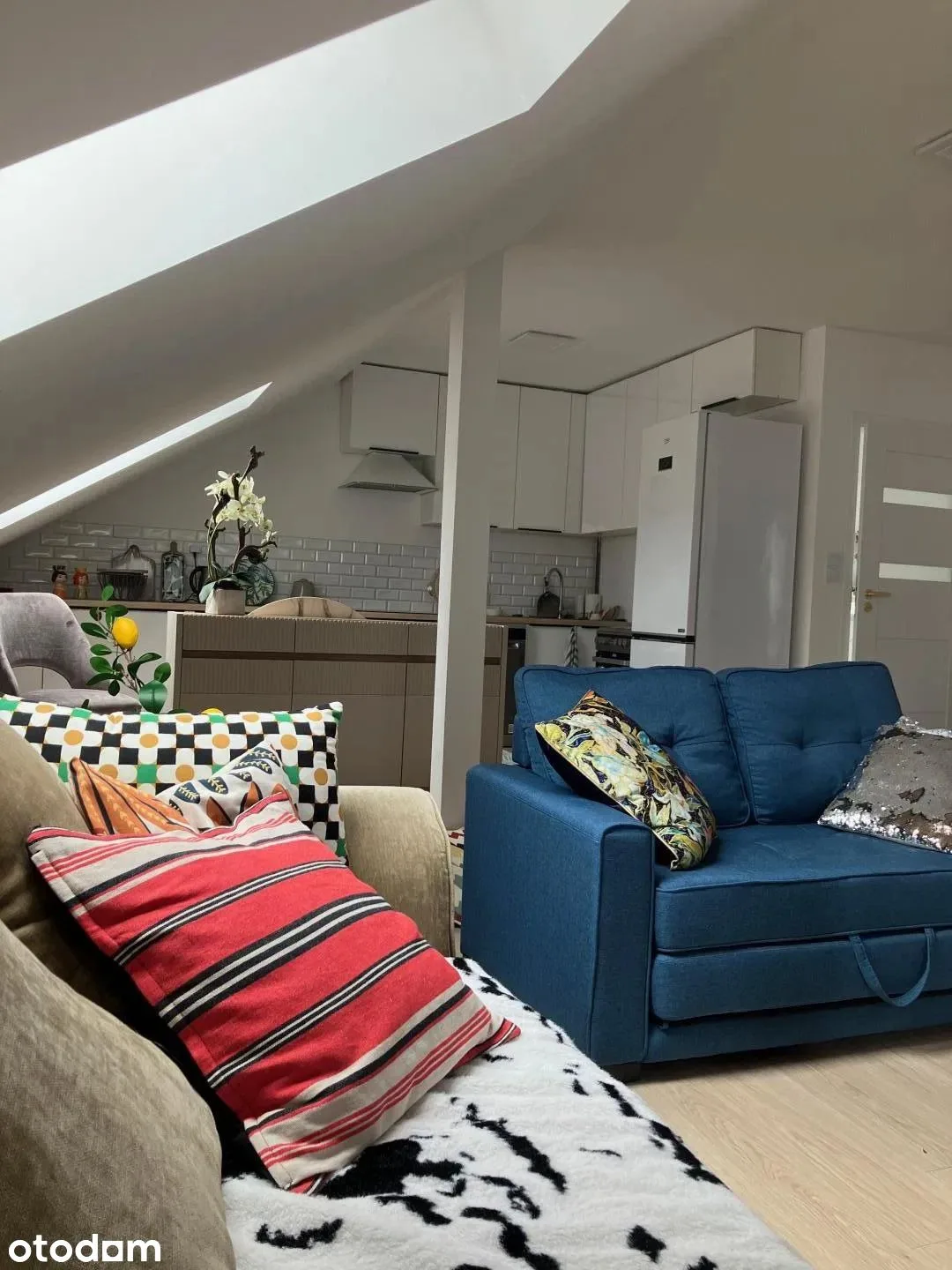 living_room