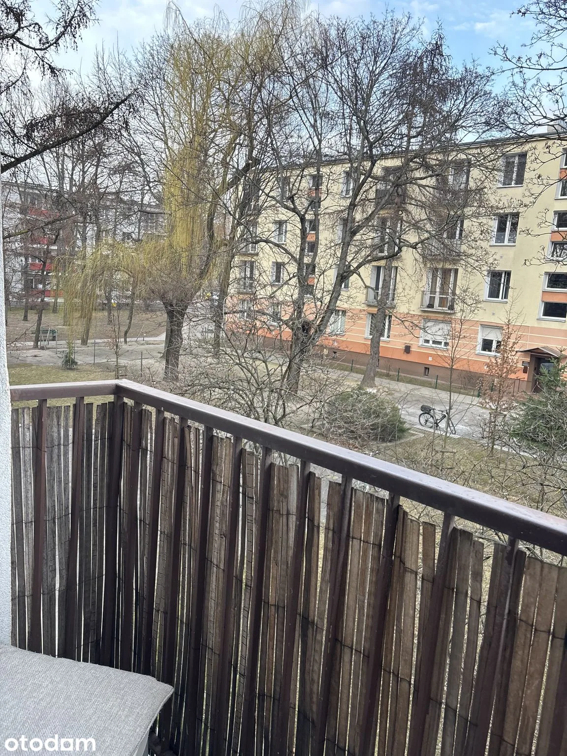 view