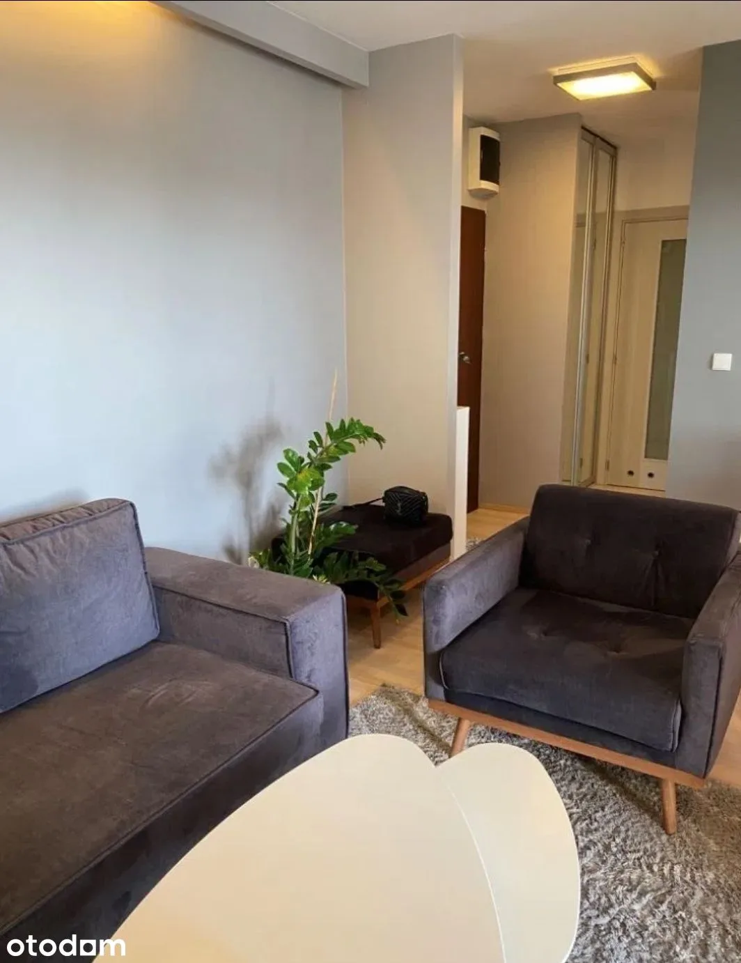 living_room