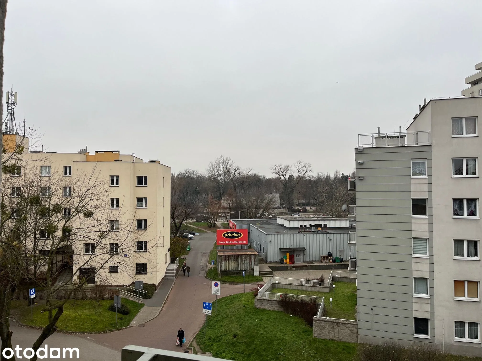 view