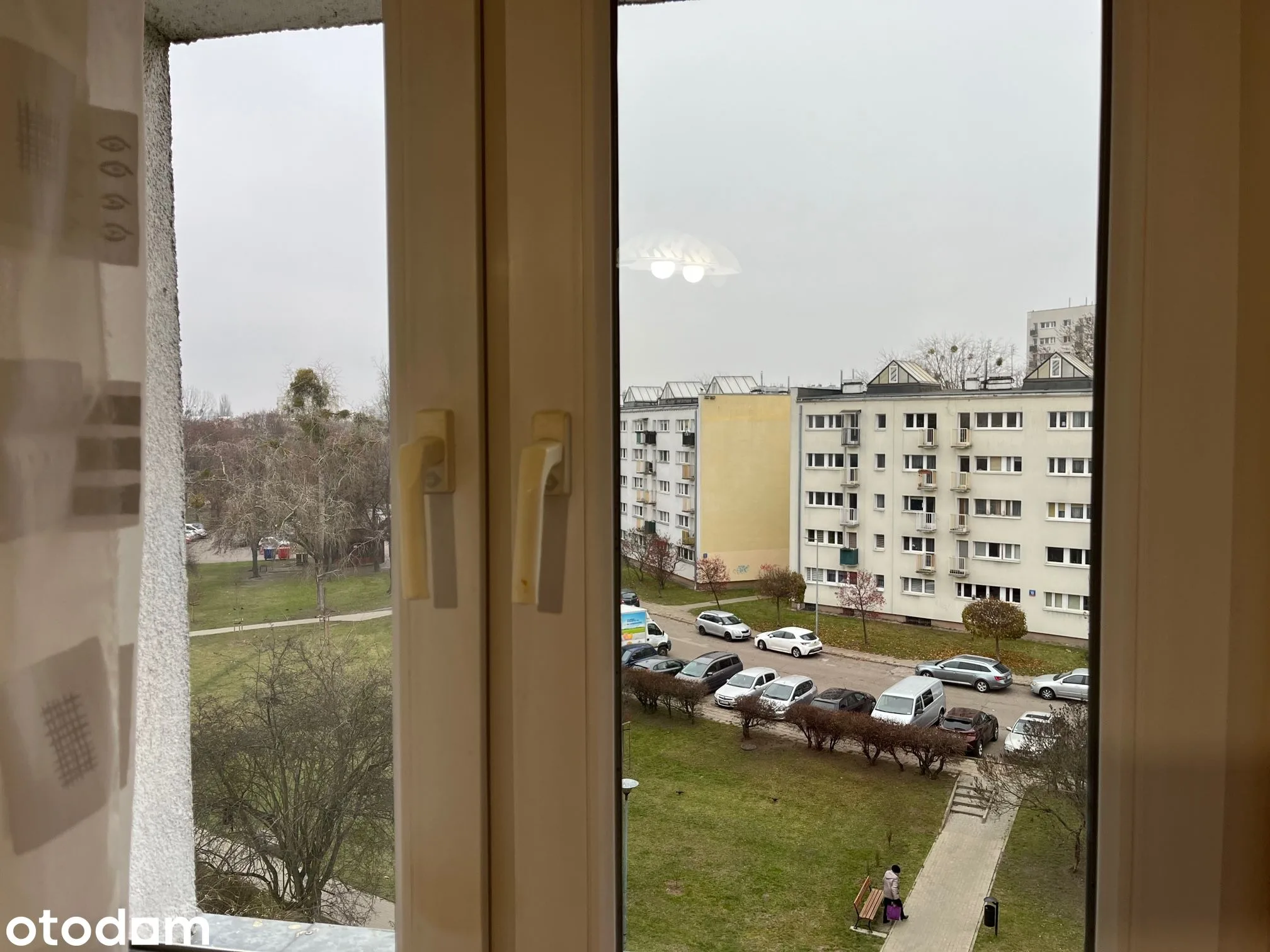 view
