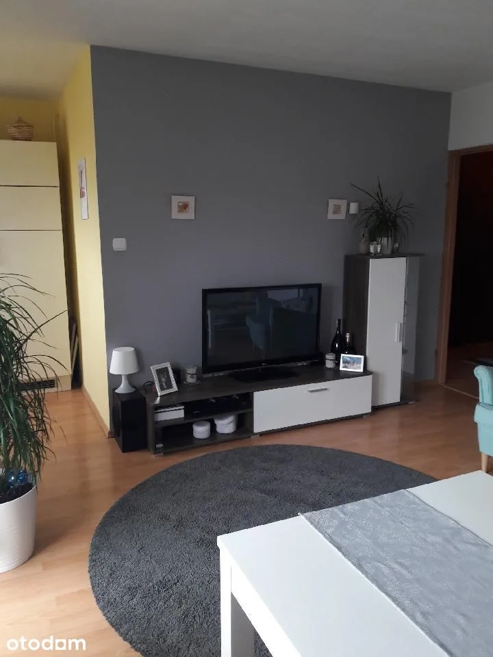 living_room