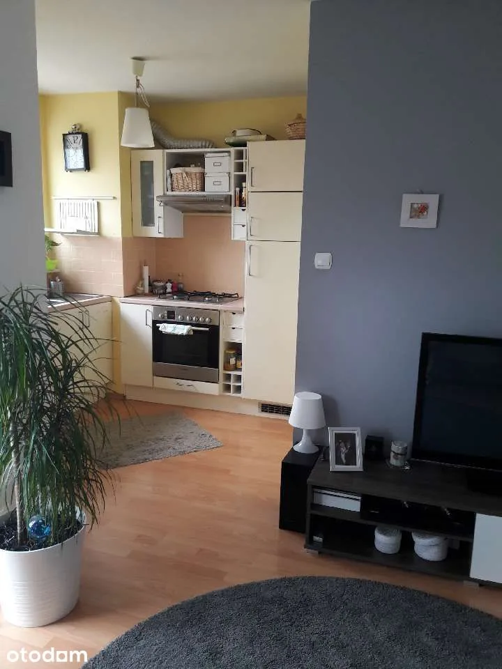 living_room