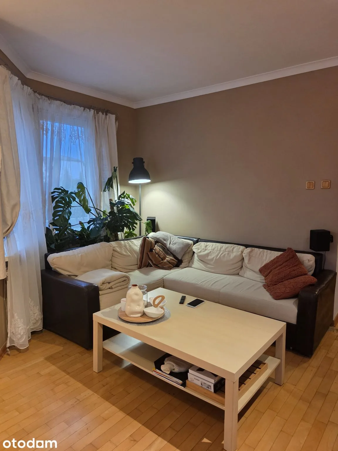 living_room